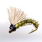 Chartreuse Biot Serendipity Fishing Flies Dozen Size 16