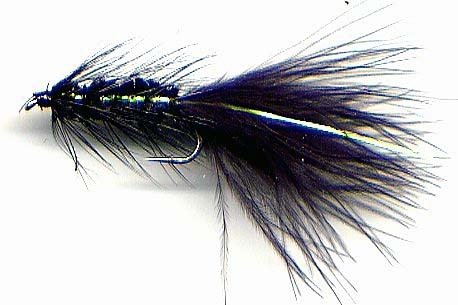 Black Woolly Bugger - Twelve Size 6 Fly Fishing Flies