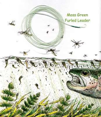 Furled 24 Lb Moss Green 5 Ft Fly Fishing Leader 7+ wt