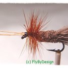 Goddard Caddis Dry Fly Fishing Flies - Twelve Size 18