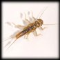 Kaufmann's Golden Stonefly Nymph - Twelve Size 10 Flies