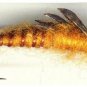Kaufmann's Golden Stonefly Nymph - Twelve Size 6 Flies