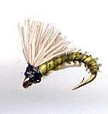 Chartreuse Biot Serendipity Fishing Flies TwelveSize 20