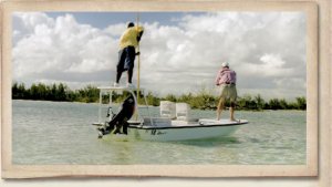 St Croix Legend Elite Saltwater 8 wt 9' Fly Fishing Rod