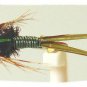 Olive Copper John Nymph Fly Fishing Flies, Hook Size 18