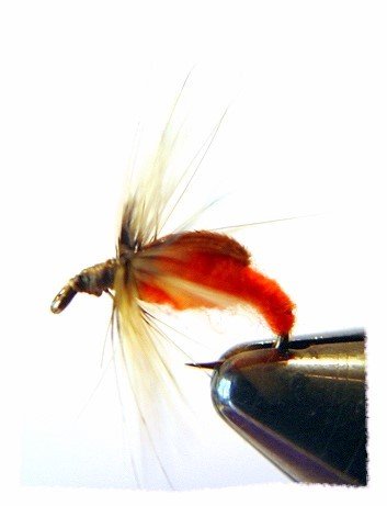 Orange CADDIS Fly Fishing Flies - Twelve Hook Size 10