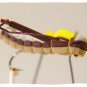 Brown Triple Decker Hopper Twelve Size 10 Fishing Flies