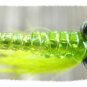 Crazy Charlie Twelve Chartreuse Saltwater Flies Size 8