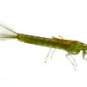 Olive Damsel Fly Nymph Twelve Size 14 Fly Fishing Flies