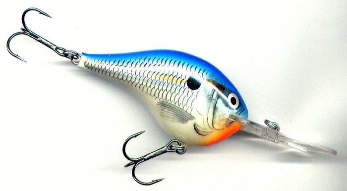 Rapala 2" Rattling Balsa Blue Shad Dives to 6 Feet
