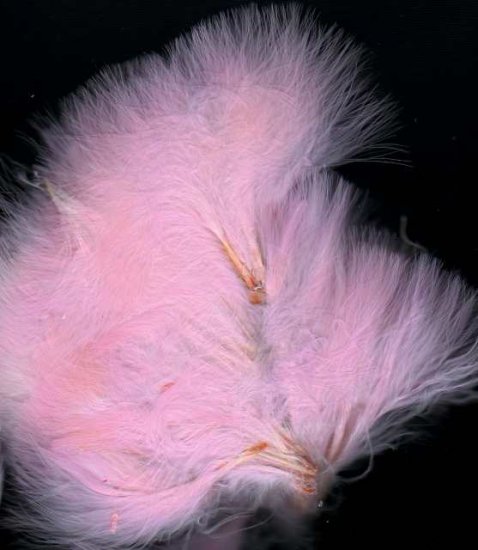 Premium Dyed 1 Ounce Pink Strung Marabou Feathers