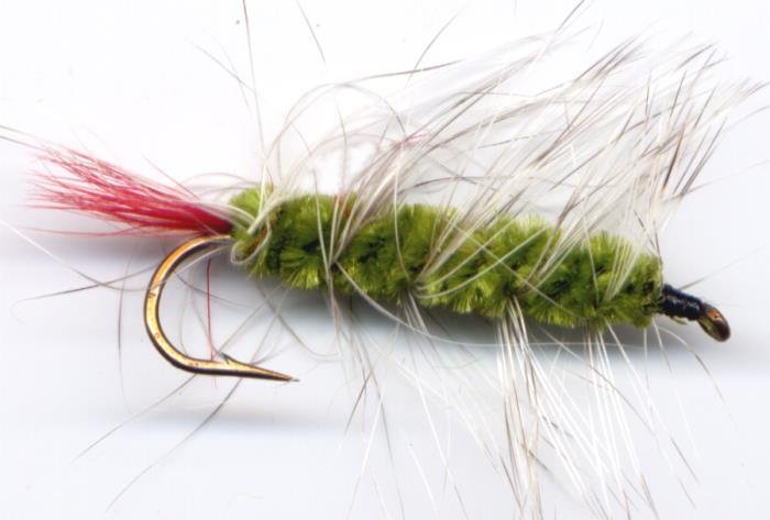 Olive Wooly Worm Fly Fishing Fly - One Hook Size 12 Fly