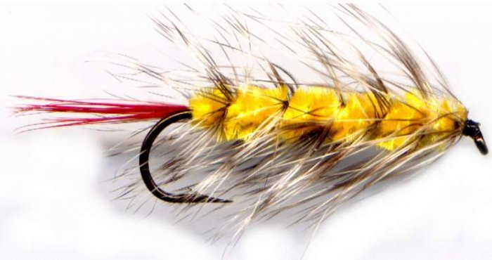 Yellow Wooly Worm Fly Fishing Fly - One Hook Size 6 Fly