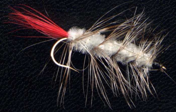 Grey Wooly Worm Fly Fishing Fly - One Hook Size 12 Fly