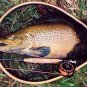 Wonderfurl Moss Green Furled Monofilament Fly Leaders