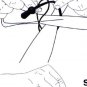 Chota QuickLash Tie Down Kit Secures Rods, Paddles, etc