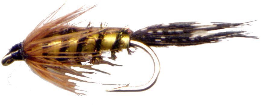 Tellico Nymphs - Twelve Fly Fishing Flies Hook Size 10