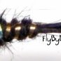 Black FB Gold Ribbed Hares Ear Nymph Fly Twelve Size 14
