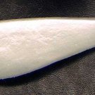 Yum Pearl 6" Salty G-Shad Soft Lure 3 pack
