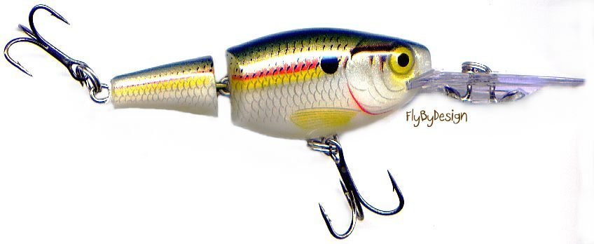 Rapala 2-3/4" Jointed Shad Rattling Suspending Shad Rap