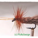 Goddard Caddis Fly Fishing Flies - Twelve NEW Premium Flies Choice of Hook Size