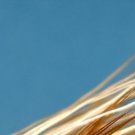 Yellow Elk Hair Caddis Dry Fly Fishing Flies - Choice of Hook Size