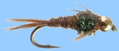 Bead Head Pheasant Tail FlashBack Nymph Twelve Fly Fishing Flies -Choice of Size