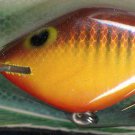 Vintage (1987) POE'S SUPER CEDAR Brown Crawdad 429 Lure