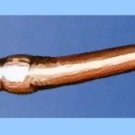 Wiggler Worm Threader Tool with Durable Handles Keeps Worm & Crawlers Alive