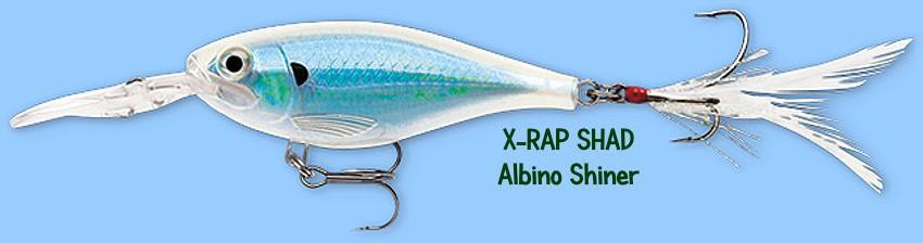 Rapala X-RAP Shad Albino Shiner (XRSSS06 AS) Fishing Lure with SureSet Hook