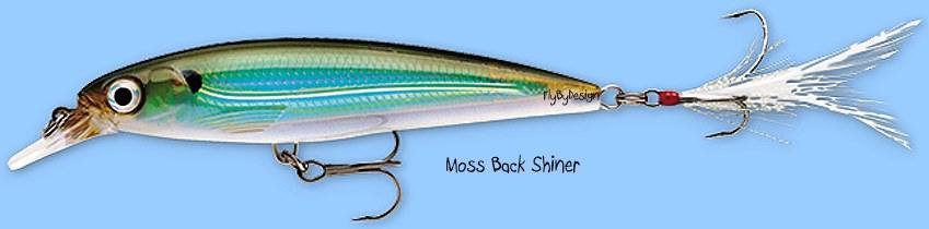 Rapala Moss Back Shiner VMC SureSet Hook Suspending Slashbait Lure (XRSS08 MBS)