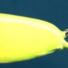 Custom Jigs & Spoons Glow Brite Jigging Spoons for Ice Fishing & Open Water
