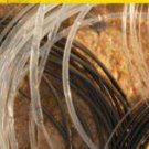 RIO Monofilament Tapered Trout Leaders with Loop