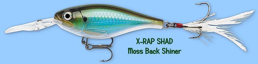 Rapala X-RAP Shad Moss Back Shiner (XRSSS06 MBS) Fishing Lure with SureSet Hook