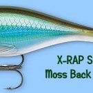 Rapala X-RAP Shad Moss Back Shiner (XRSSS06 MBS) Fishing Lure with SureSet Hook