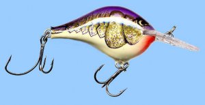 Rapala DT6 POCW Purple Olive Craw Dives to 6 Feet