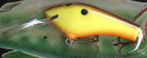 Vintage (1987) POE'S SUPER CEDAR Brown/Chart #939 Lure