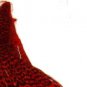 Keough #1 RED Griizzly Hackle Feathers