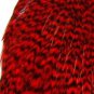 Keough #1 RED Griizzly Hackle Feathers