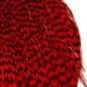 Keough #1 RED Griizzly Hackle Feathers