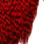 Keough #1 RED Griizzly Hackle Feathers