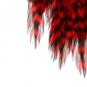 Keough #1 RED Griizzly Hackle Feathers