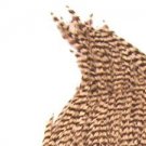 NEW America's Best Natural Grey Grizzly Dry Fly Hackle Feathers