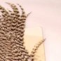 NEW Metz #1 Premium Natural Grey Grizzly Hackle Feathers