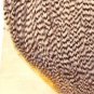 NEW Metz #1 Premium Natural Grey Grizzly Hackle Feathers