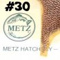 NEW Metz #1 Premium Natural Grey Grizzly Hackle Feathers