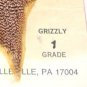 NEW Metz #1 Premium Natural Grey Grizzly Hackle Feathers