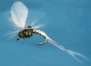 Light Blue Dun Klinkhamer Fly Fishing Flies -Twelve Premium Flies Choice of Size