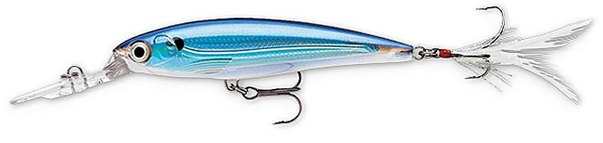 Rapala X-RAP Deep Diving Blue Back Shiner Lure (XRDSS08 BBS) with SureSet Hook