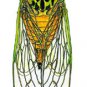 Chartreuse Cidada Fly Fishing Flies - Six Flies in Your Choice of Hook Size